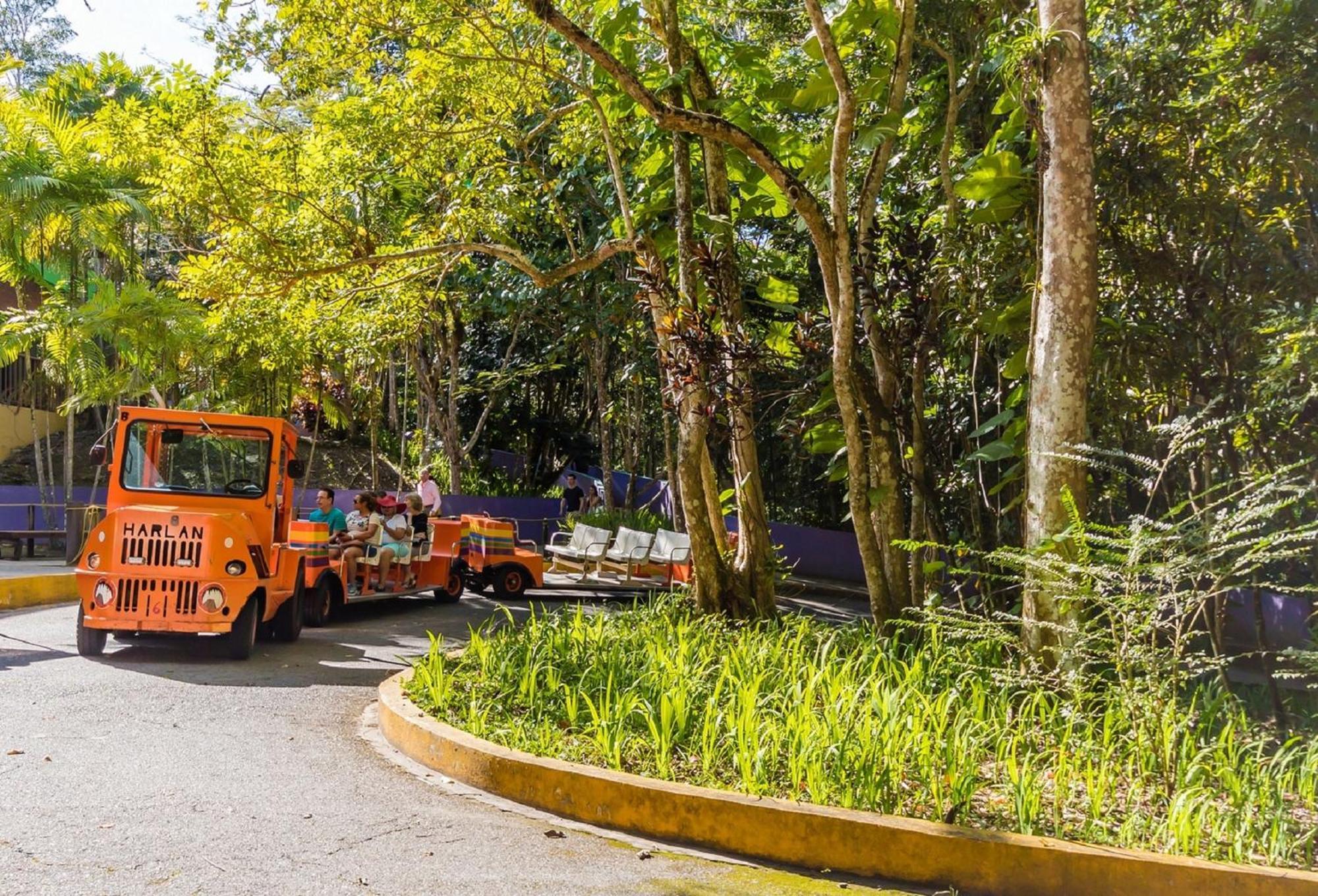 Discovery Inn & Suites At 681 Ocean Drive Arecibo Exterior foto